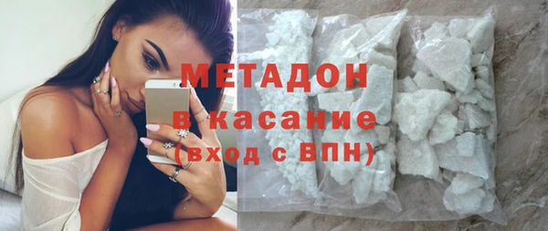 индика Богданович