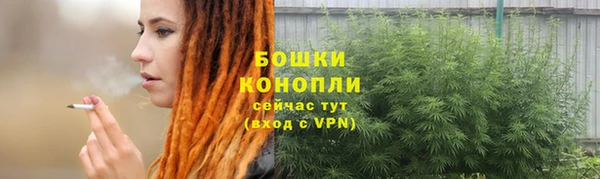 индика Богданович