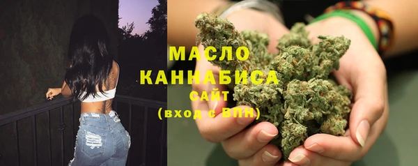 индика Богданович