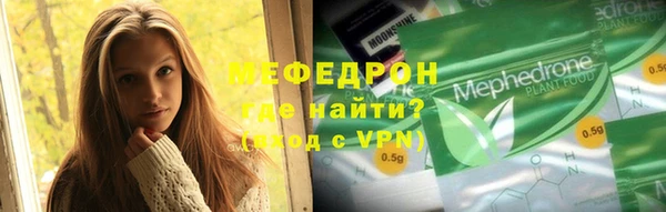 индика Богданович