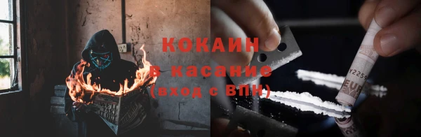 индика Богданович