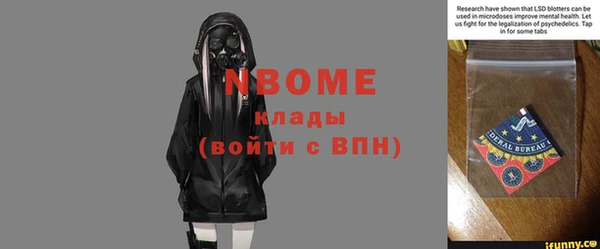 индика Богданович
