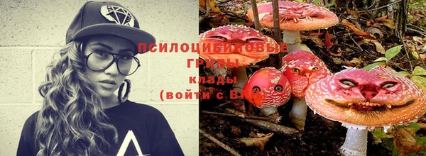 каннабис Богородицк