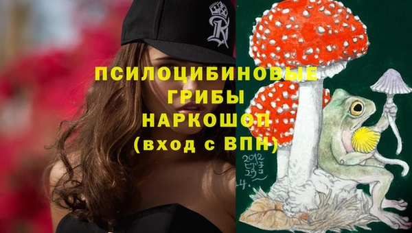 индика Богданович