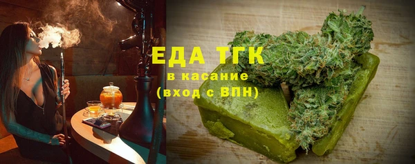 индика Богданович