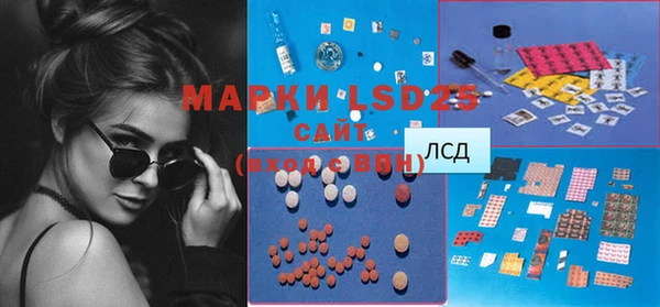 индика Богданович